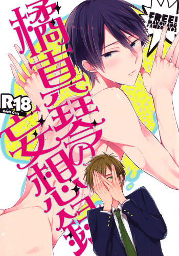 Tachibana Makoto no Mousou Roku cover