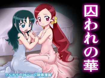 Toraware no Hana cover