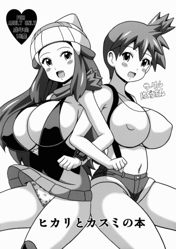 Hikari to Kasumi no Hon cover