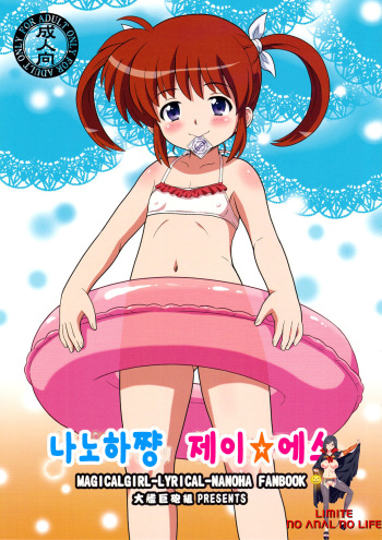 Nanoha-chan Jii☆Ace cover