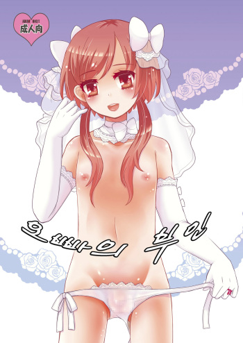 Oniichan no Oyomesan | 오빠의 아내 cover