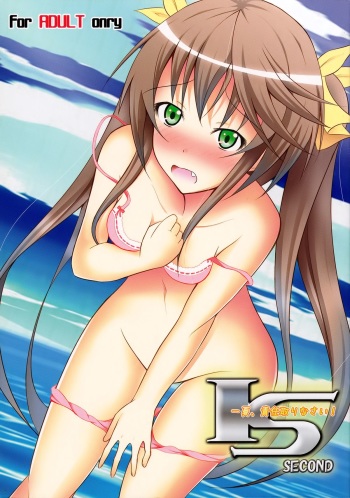 Ichika, Sekinin Torinasai! SECOND | Ichika, You Better Take Responsibility! Second cover
