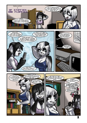 Of Stiffies and Floppies cover