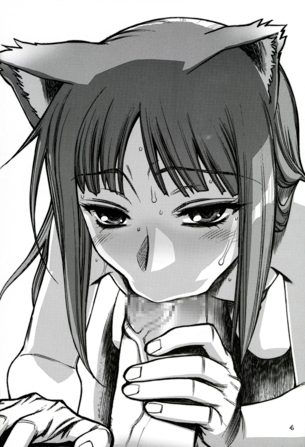 Senjou no Ookami II page 3 full