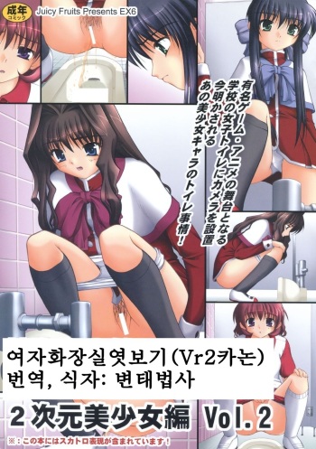 Bou Yuumei Koukou Joshi Toilet Tousatsu 2-jigen Bishoujo Hen Vol. 2 cover
