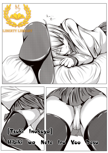Hibiki wa Nete Iru You Desu cover
