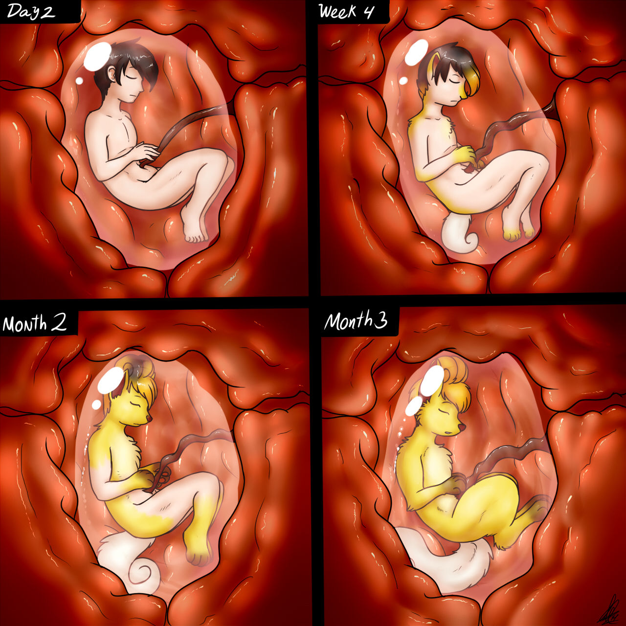 Pet Mother page 4 full