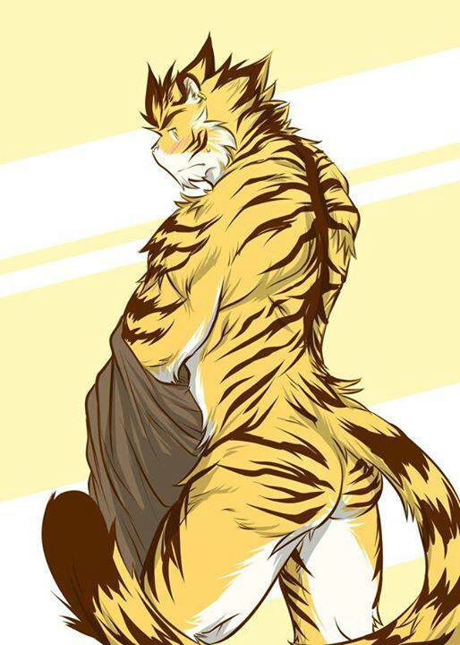 Gay Yiff Pics page 10 full