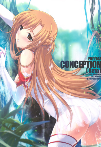 PILE EDGE CONCEPTION cover