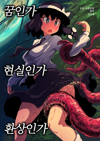 Yume ka Utsutsu ka Maboroshi ka cover