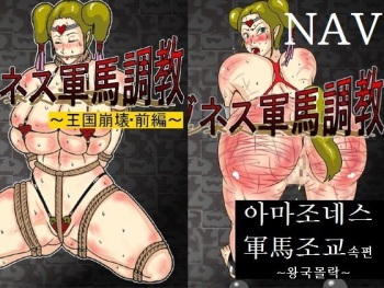 Zoku Amazoness Gunba Choukyou ~Oukoku Houkai~ Kanzenban cover