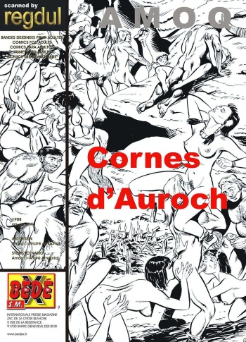 Cornes d'auroch cover