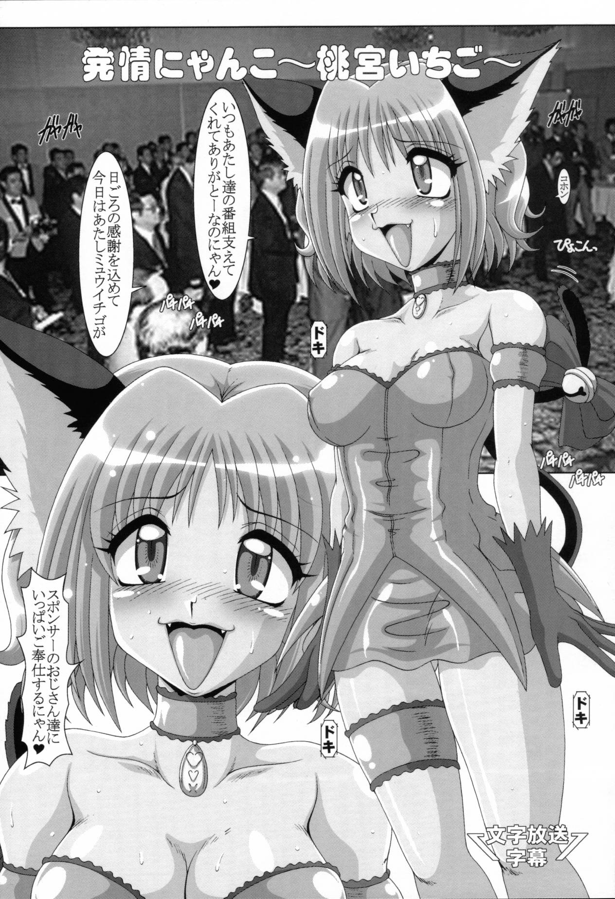Choukyou Mew Mew page 4 full