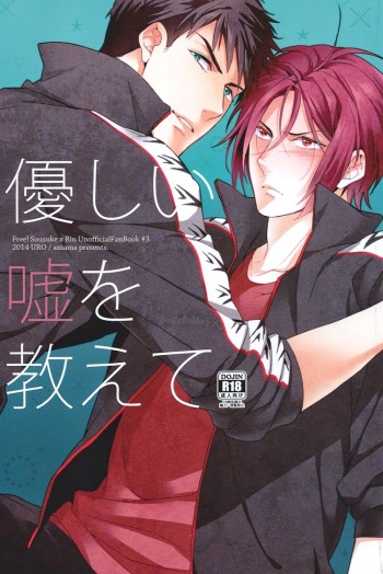Yasashii Uso o Oshiete | Tell me a gentle lie cover