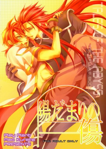 Hidamari no Kizu cover