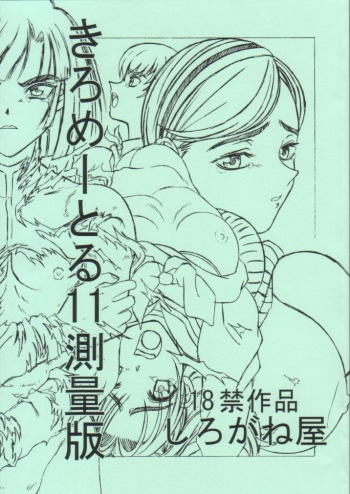 Kilometer 11 Sokuryouban cover