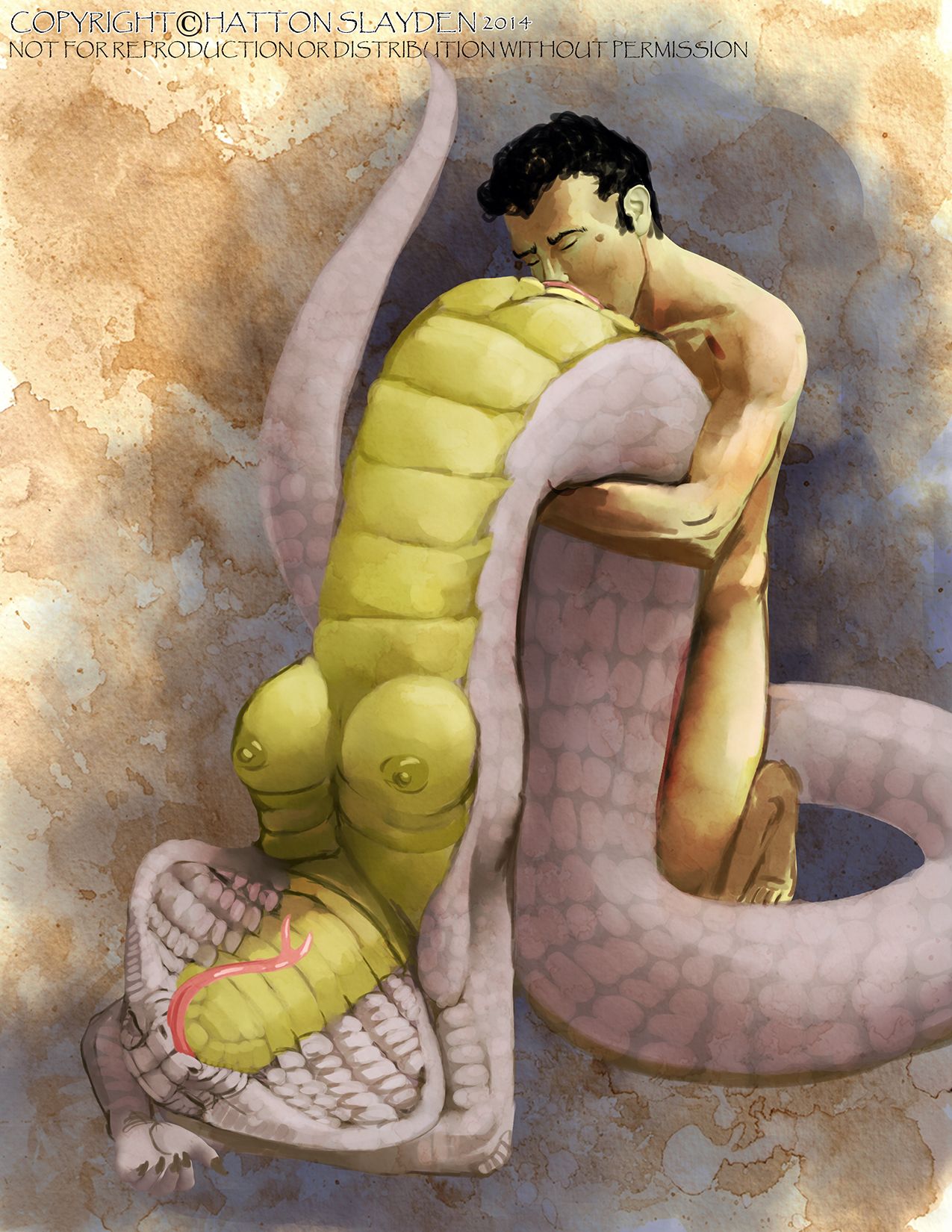 Coils page 5 full