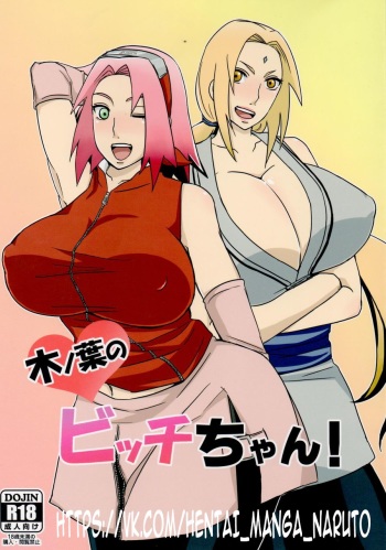 Konoha no Bitch-chan! cover