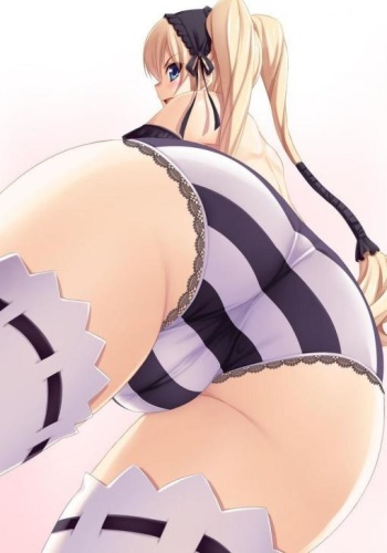 Panties cover