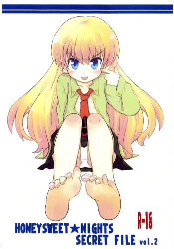 HONEYSWEET★NIGHTS SECRET FILE vol.2 cover