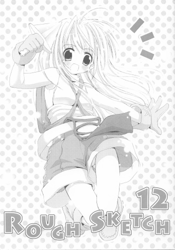Rough Sketch 12 cover