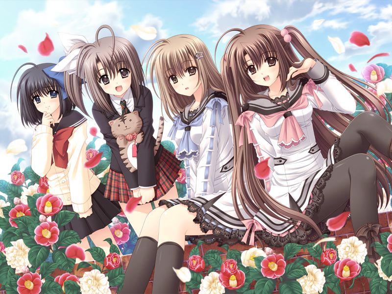 Oretachi Ni Tsubasa Wa Nai AfterStory -Limited Edition- page 2 full