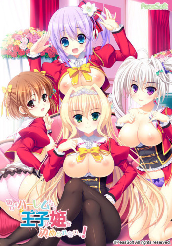Mainichi ga Harem Sugite Ore wa Yome o Kimerarenai! cover