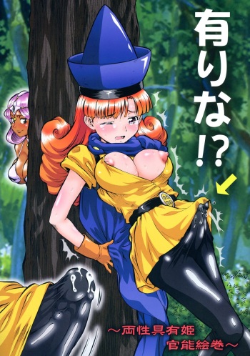 Alena? ~ Ryousei Guyuu Hime Kannou Emaki ~ cover