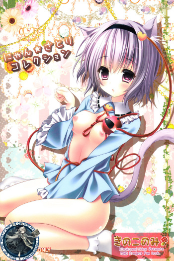 Nyan Satori Collection cover