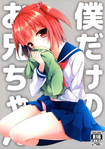 Boku dake no Oniichan cover