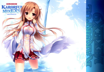 KARORFUL MIX EX9   =HACHInF= cover