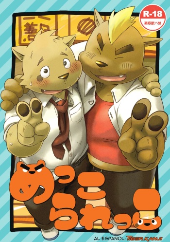 Mekko Rarekko cover