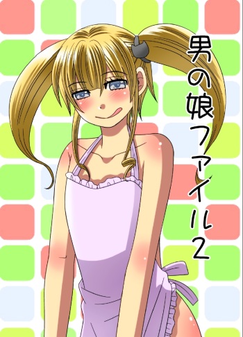 Otokonoko File 2 cover