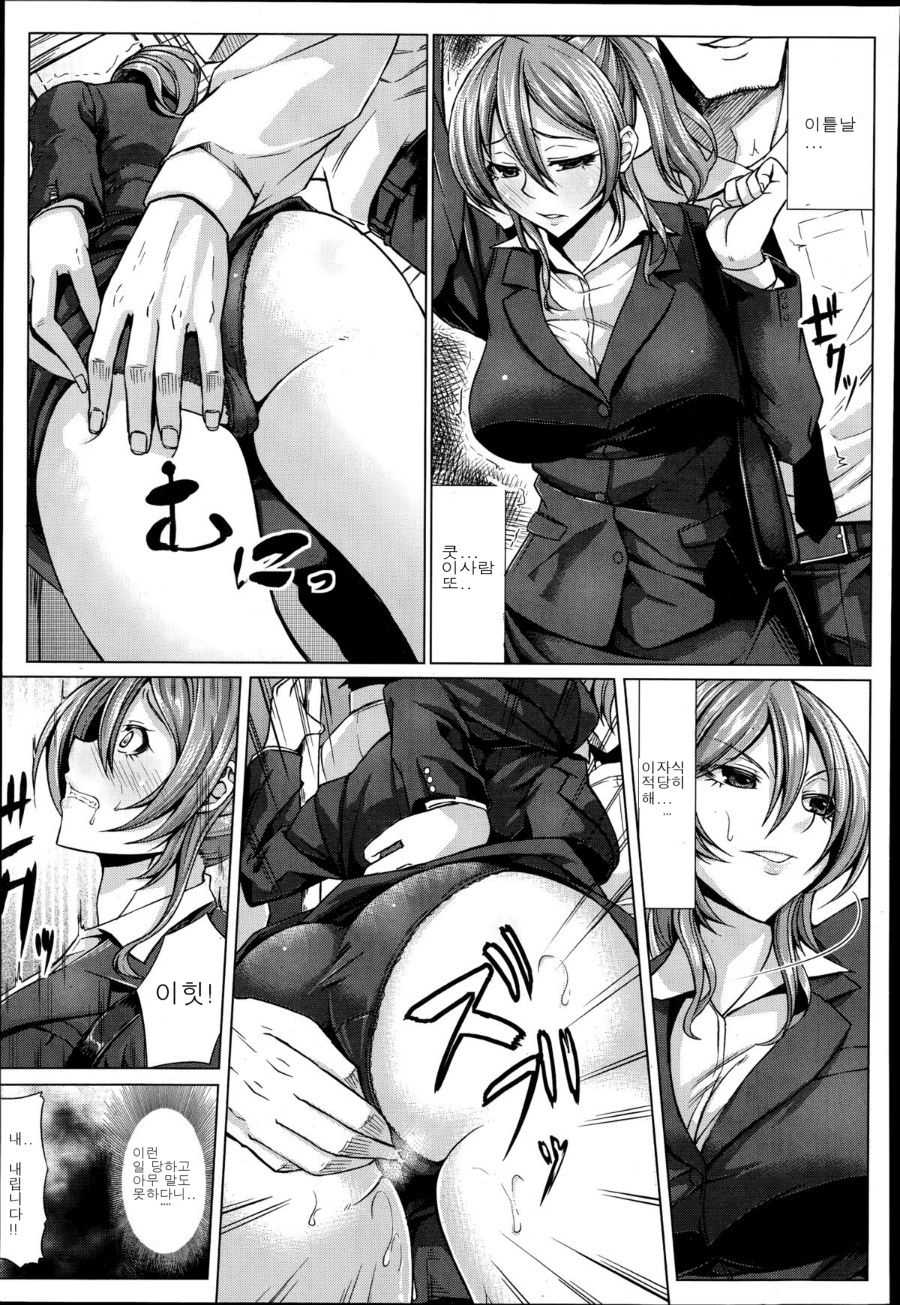 Nikuyoku Chikan Sharyou | 육욕 치한 차량 page 3 full
