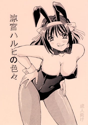 Suzumiya Haruhi no Iroiro cover
