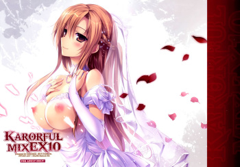 KARORFUL MIX EX10   =HACHInF= cover
