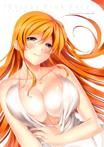 Hanayome Fitting - Fitting Wedding Dresses cover