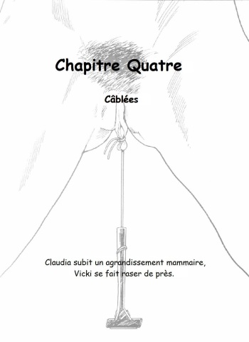 Plaisirs Liés! Chapitre 4 cover