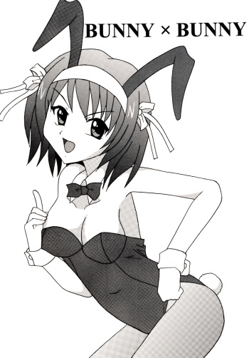 BUNNYxBUNNY cover