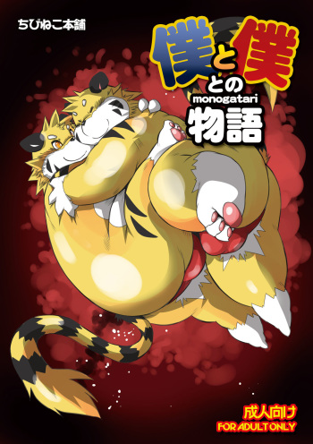 Boku to Boku tono Monogatari cover