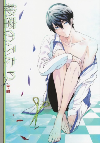 Himitsu no Futari cover
