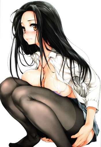 pantyhose cover