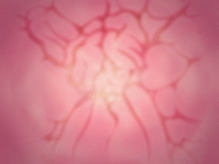Pretty Predot Honpen Chuuhen - Honban Rape!- page 6 full