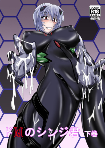 Third Neon Genesis Evangelion cover