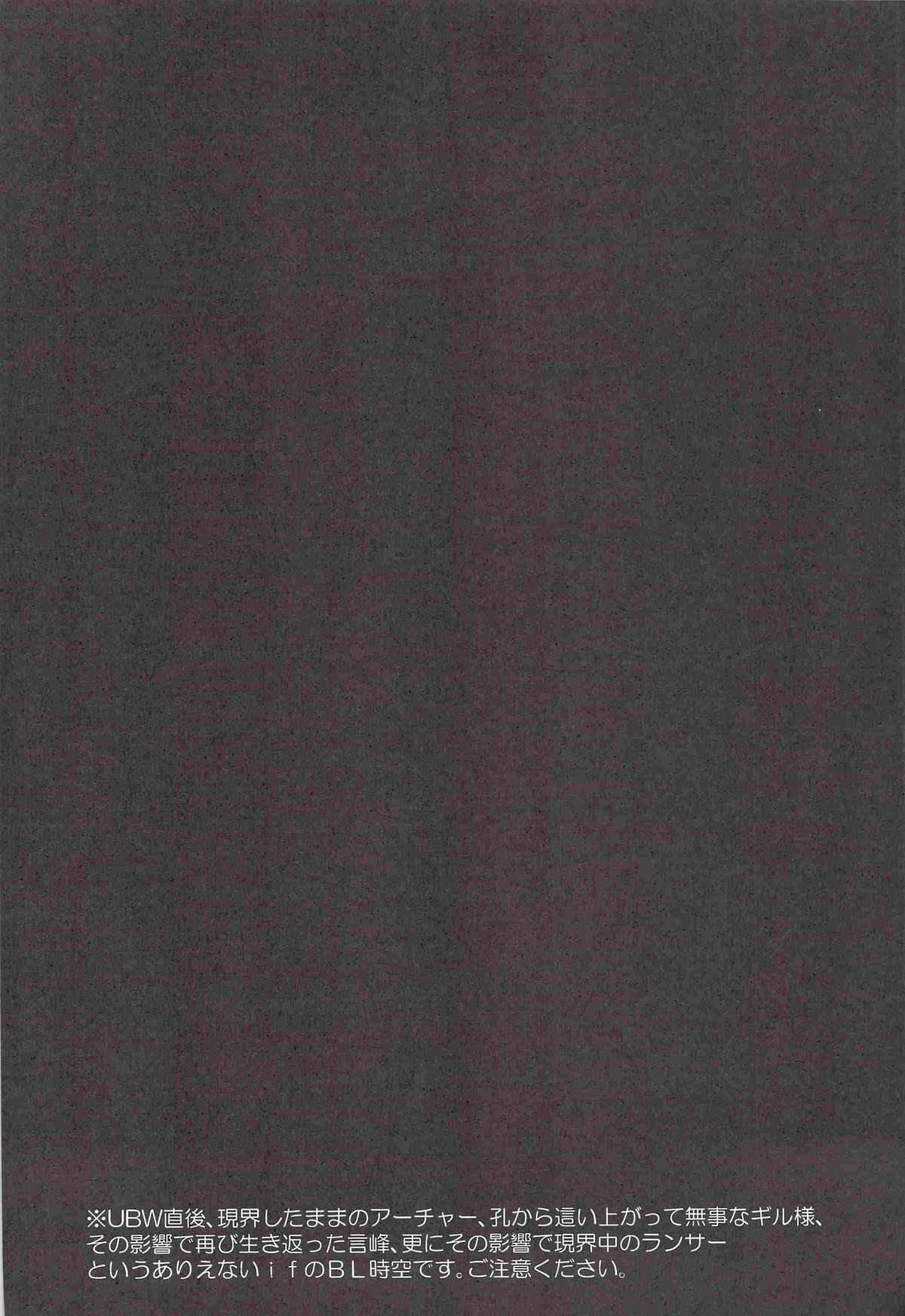 おねだりしてみろよ、アーチャー!! page 3 full