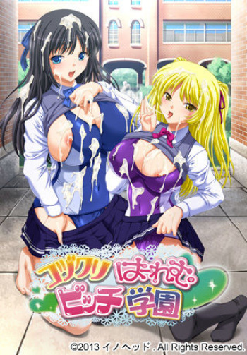 Kozukuri Harem Bitch Gakuen cover