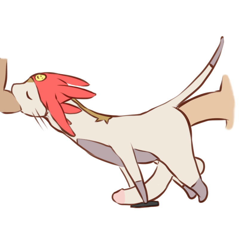 Meow Image Set + Some gifs page 5 full