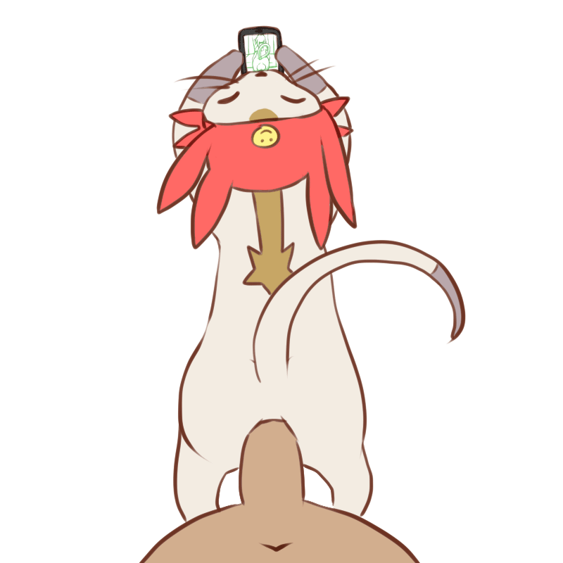 Meow Image Set + Some gifs page 7 full