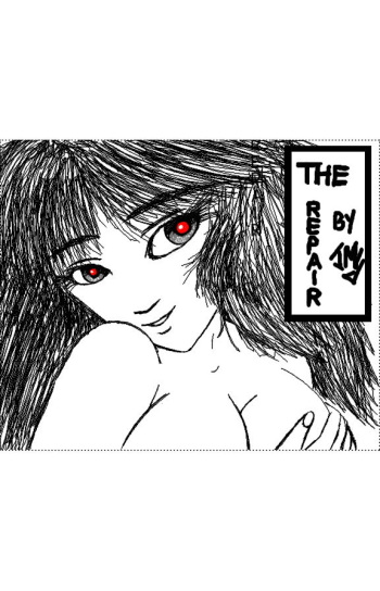 The repair cover