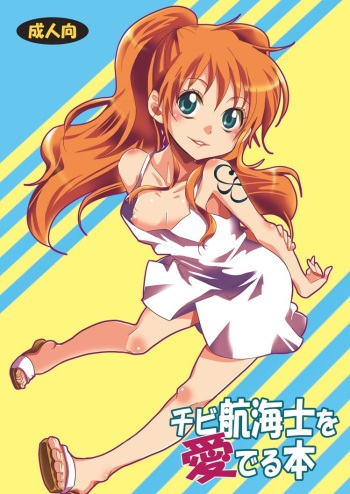 Chibi Koukaishi o Mederu Hon cover